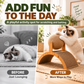 💖50% OFF!🐱Natural Sisal Cat Scratching Ball With Cardboard Pad✨