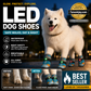 ✨️Amazing 50% Off！🐕Must‑have for pet owners！🐶Protect paws from dirt and prevent your pet from getting lost！👟Breathable Mesh Dog Shoes with Luminous Design