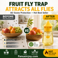 🔥Amazing Discount! 🕸️Get rid of annoying mosquitoes and fruit flies! Indoor and Outdoor Hanging Fly Trap