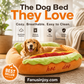 🔥50% OFF for a limited time! 🐱🐶 Fur babies' favorite! 🌭Funny Hot Dog Pet Bed Cozy Warm Nest for Dogs and Cats