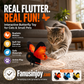 🦋🐱 Smart Sensing Flapping Butterfly Toy – 50% OFF! 🐈Perfect Playmate for Pets！Motion-activated, realistic flight, interactive fun – keeps your cat engaged for hours. 🔥✨