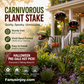🔥50% off for three days only！🌻Plants vs. Zombies comes to life！🏡Whimsical Metal Carnivorous Plant Garden Stake