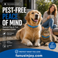 🔥Hot discount!Natural Essential Oil Pet Pest Repellent Collar