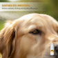 🏆Special Offer Buy 3 Get 2 Free！🐈Care for your furry friends anytime!🐕🔥Gentle Pet Eye Drops