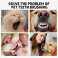 💥Super big discount! Make your pet dog no longer suffer from tooth problems or bad breath.Pet Tartar Remover for Dogs & Cats