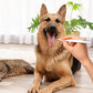 💥Super big discount! Make your pet dog no longer suffer from tooth problems or bad breath.Pet Tartar Remover for Dogs & Cats