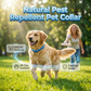 🔥Hot discount!Natural Essential Oil Pet Pest Repellent Collar