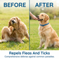 🔥Hot discount!Natural Essential Oil Pet Pest Repellent Collar