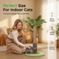 🐱Cat Paradise! Cats are naturally playful.Coconut Tree Cat Scratching Post