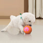 🐱🐶Let the little pets no longer feel lonely-Auto Bouncing Smart Pet Ball