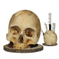 💥Limited Time 50% Off! Creative Skull Resin Knife Holder