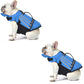 🔥Limited time 50% off！🐕Reflective Angel Wings Dog Life Jacket ✨ Safe swimming for your furry friend