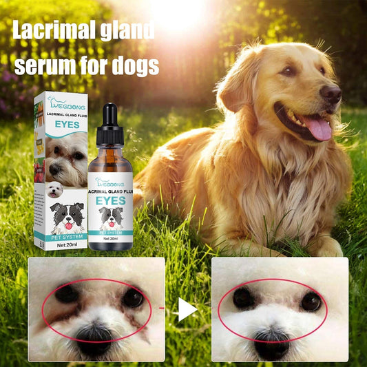 🥳2026 HOT SALE🥳💞50K+ SOLD!🐱🐶 50% OFF! Pet Eye Cleaner & Drops – Gentle pH‑balanced formula, safe for dogs & cats. Soothes redness, removes tear stains & daily dirt. No peroxide! 🌿💧