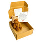 ✨️Amazing 50% OFF！🎁Your portable spiritual comfort companion！🎉Mini Plush Pocket Teddy Bear with Greeting Card & Gift Box