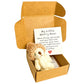 ✨️Amazing 50% OFF！🎁Your portable spiritual comfort companion！🎉Mini Plush Pocket Teddy Bear with Greeting Card & Gift Box