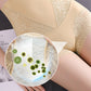 🎉Last Day Hot Sale 50% OFF🔥🩲Women's High Waist Tummy Control Panties