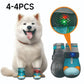 ✨️Amazing 50% Off！🐕Must‑have for pet owners！🐶Protect paws from dirt and prevent your pet from getting lost！👟Breathable Mesh Dog Shoes with Luminous Design