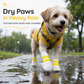 🐾 Disposable Dog Paw Covers for Wet & Muddy Walks