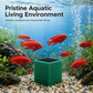 🐠💧Activated Carbon Filter Cube – honeycomb filtration clears cloudy water, removes odors. Anti-crumble block for crystal-clear aquarium! 🛡️✅