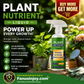 🔥Hot Sale 50% OFF🔥 🌿Nutrition Supplement For Plants！💦🌱Thrive And Grow Strong！Plant Nutrient Liquid Spray – Foliar Feed, Ready-to-Use, for Indoor & Outdoor 🌿