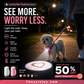 ✨️Limited time 50% off！🐶ID tags for furry babies, cuter and more eye-catching！🐱Anti-Lost Pet Glow Collar Projector Light with Breed Patterns